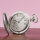 Pocket Watch Firebird Schar-Ptiza Phoenix Molnija 3602 Russian Analog Watch