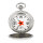 Molnija 3602 Pocket Watch Lenin USSR Russian Mechnaisch Star Hammer&sichel Watch