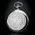 MOLNIJA 3602 Republik Tatarstan russische mechanische Taschenuhr NOS