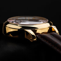 BURAN V.M. Chronograph 31679 russische mechanische Uhr Poljot Mondkalender